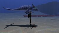 Size comparison with the player