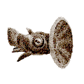 Thumbnail for version as of 17:45, 6 August 2021