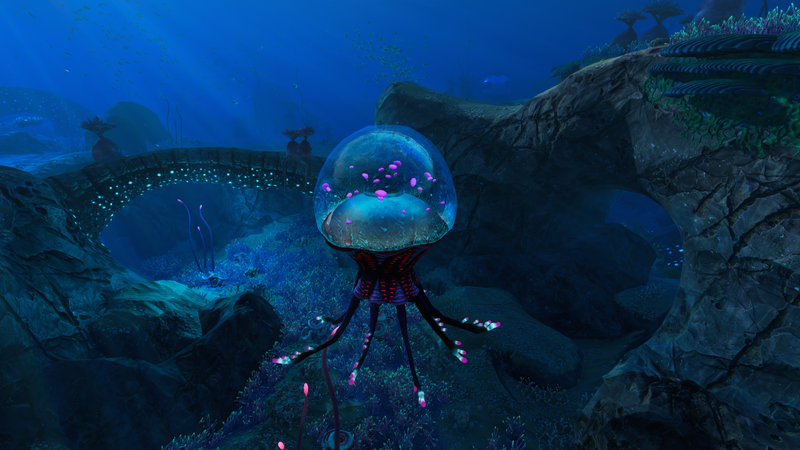 File:Jellyfish wiki.png