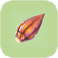 Lantern Fruit.png