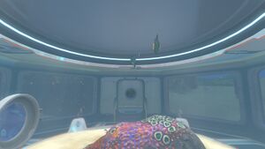 Large Aquarium (2).jpg