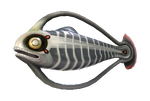 Spinefish Fauna.png