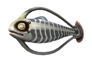 Spinefish Fauna.png