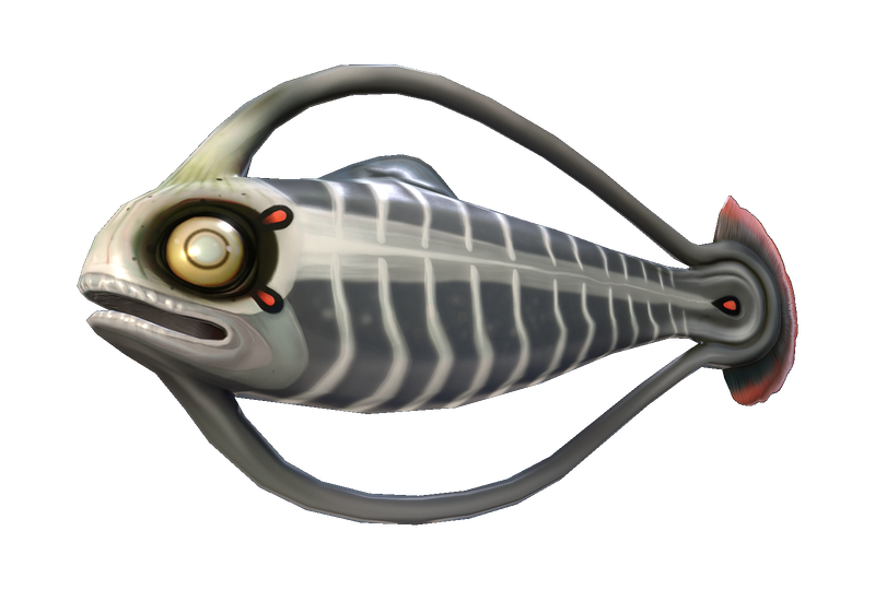 File:Spinefish Fauna.png