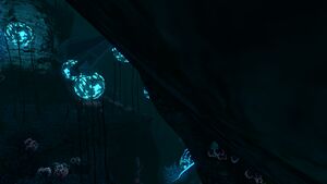 Diamond (3).jpg