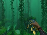 A dead Hoverfish in the player's hand