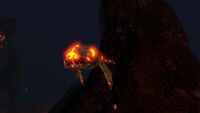 Lava Lizard infected with Carar.