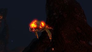 Infected Lava Lizard.jpg