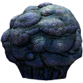 Lost River Cave Coral Fauna.png