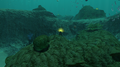 Thumbnail for version as of 22:32, 2 March 2017