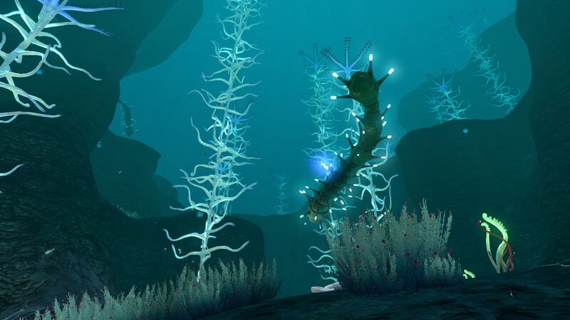 File:BloodKelpZone2 3.jpg