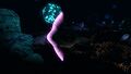 Bioluminescence