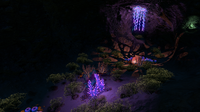The Dunes Caves