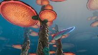 First day of the Biter Fish