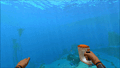 Thumbnail for version as of 12:25, 1 May 2017
