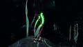 Bioluminescent Blood Kelp Zone Flora
