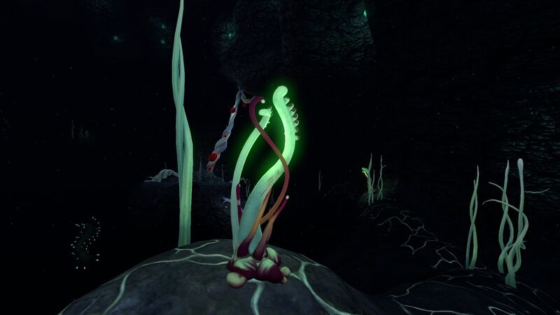 File:Blood Kelp Caves (8).jpg