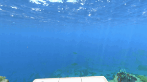 Deployment.gif