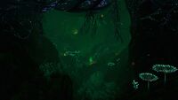 Lilypads Crevice Biome.jpg
