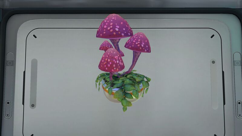 File:Planter Shelf (2).jpg