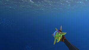 Spinnerfish In Hand.jpg