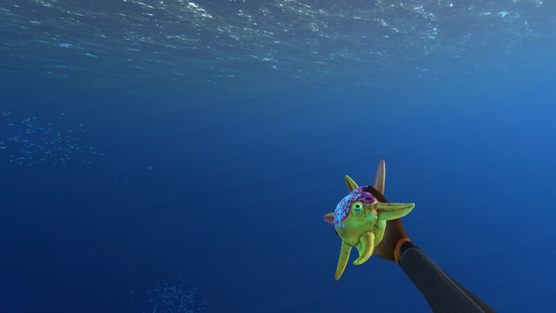 File:Spinnerfish In Hand.jpg