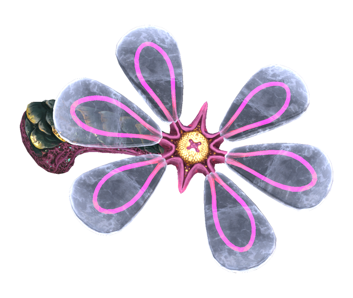 File:Thermal Lily Flora.png
