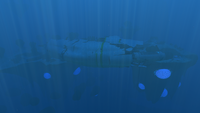 A view of the wreck in the biome