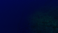 The dropoff between the World Edge and the West Arctic