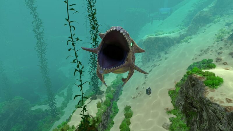 File:Aggressive Bone Shark2.jpg