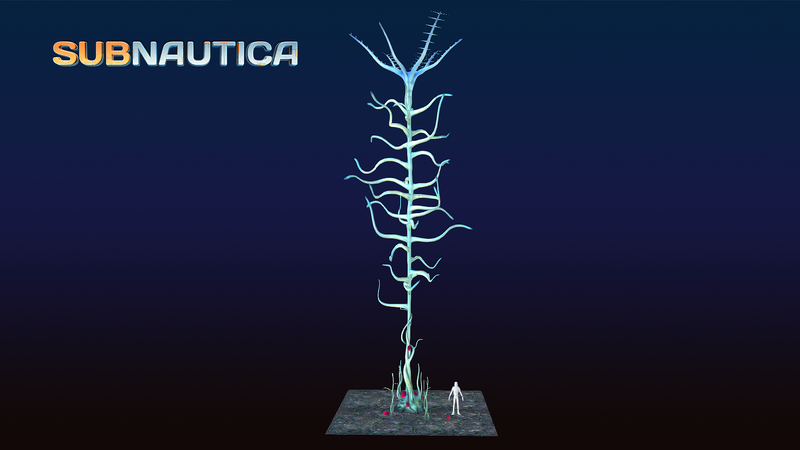 File:Blood Roots 2.png
