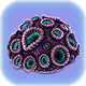 Brain Coral.png