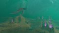 Thumbnail for version as of 17:27, 6 August 2021
