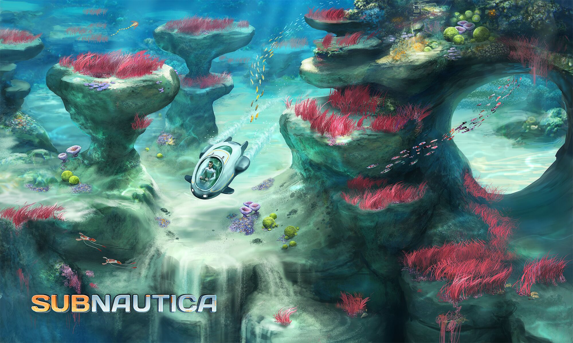 CoralReef3Large.jpg