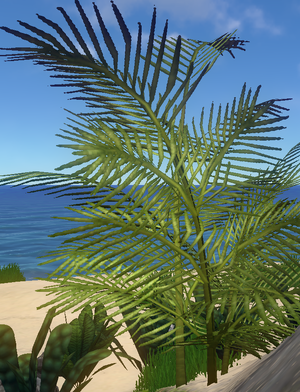 Dinosaur fern.png