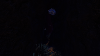 One of the many narrow tunnels in the Grand Reef Caves