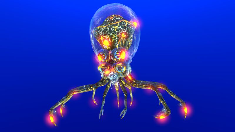 File:Infected Crabsquid.jpg