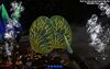 Life-form coral reef shell plate.jpg