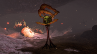 Loop Plant found in the Deep Lilypads Cave