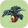 Marblemelon.png