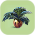 Marblemelon.png