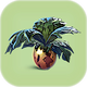 Marblemelon.png
