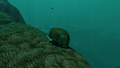 Thumbnail for version as of 15:33, 1 May 2017