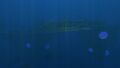 A view of the wreck in the biome