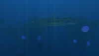 A view of the wreck in the biome