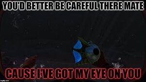 182o2e.jpg