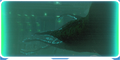 Thumbnail for version as of 23:43, 12 January 2018