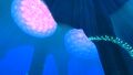 Thumbnail for version as of 12:27, 7 August 2016