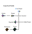 Large Eye family.png