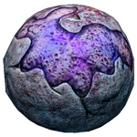 Lost River Brine Coral Fauna.png